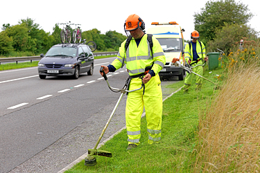 landscape-maintenanace-3