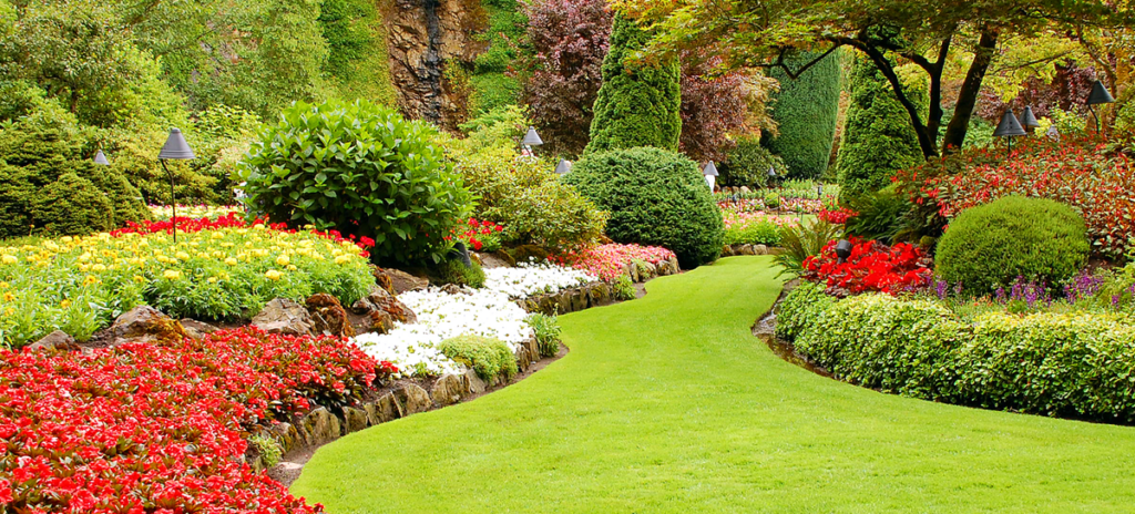 landscape-maintenanace-4