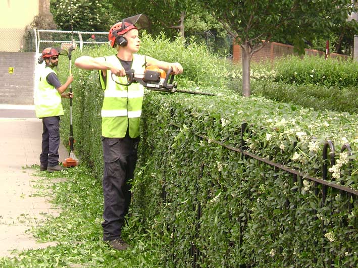 landscape-maintenanace-5