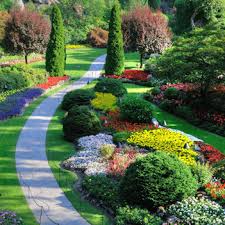 landscape-maintenanace-9