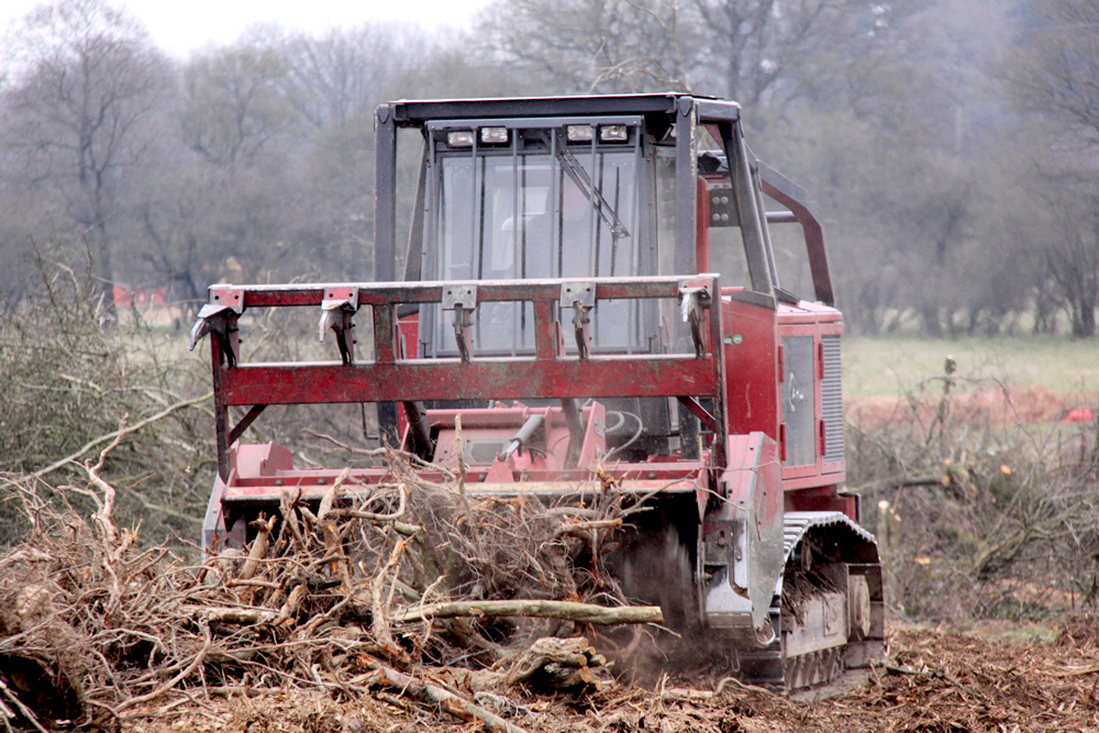 woodland-management-8 (1)